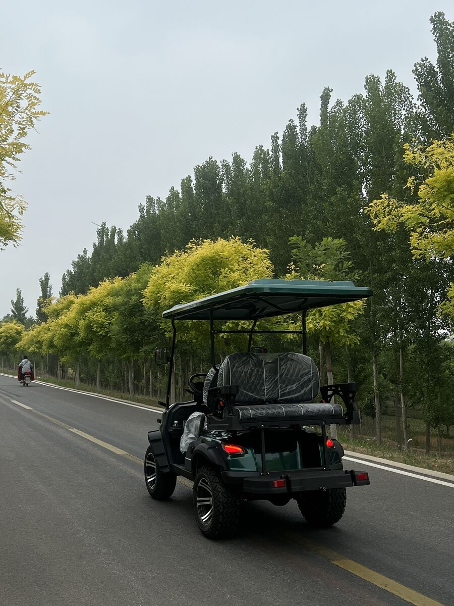 WELIFTRICH Cheap 72V Lithium Battery Fully Waterproof 4 Seater Folding Electric Golf Carts with 90km Range