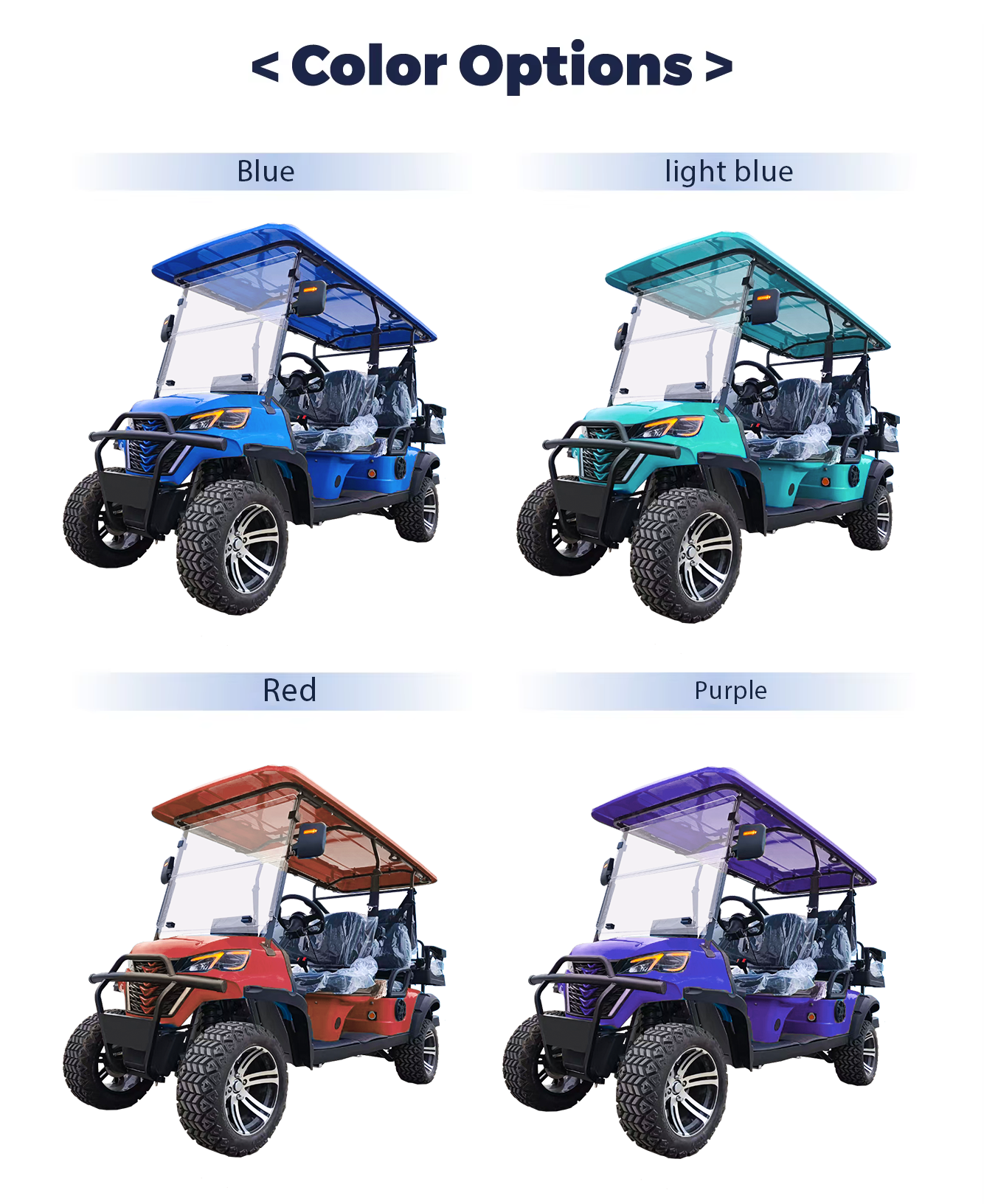 Electric Golf Cart Additional View