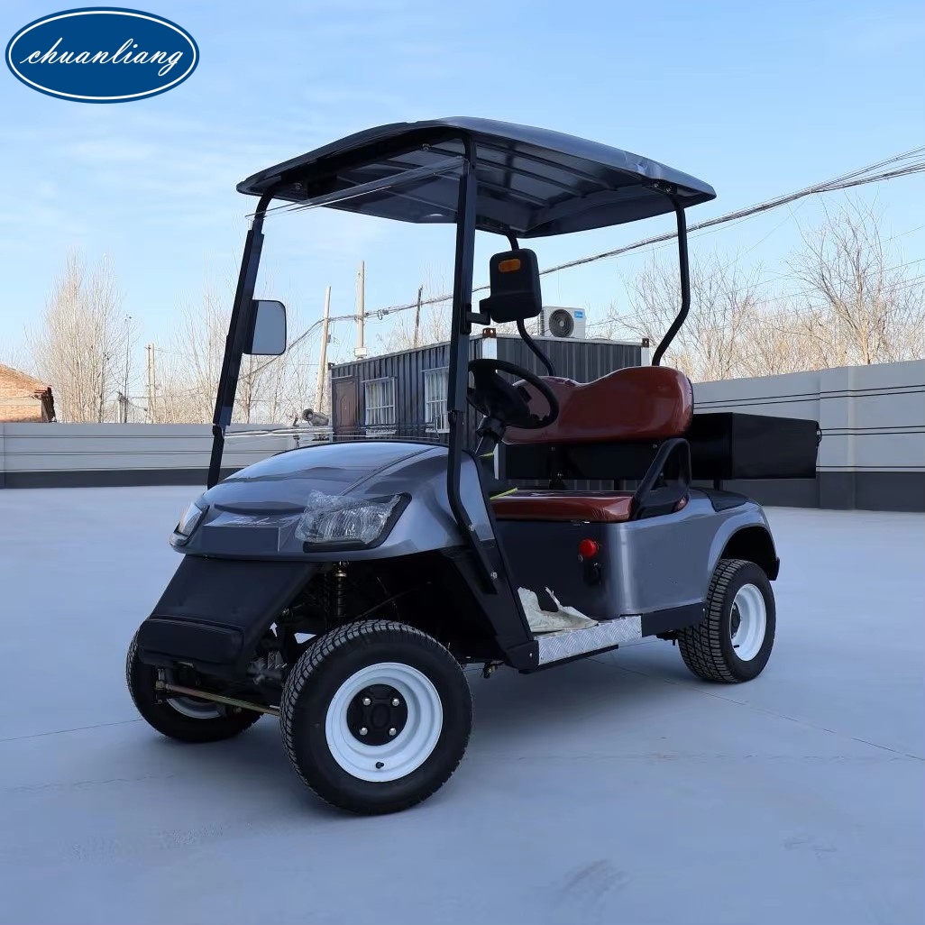 High Quality 4x4 Drive Gray Electric Club Car 2 Seats Golf Car With Intelligent Charger For Golf Course Scenic Area Tour