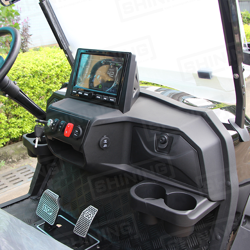 Shininglsv 48V Electric Fast Golf Cart Car Style Electric Lithium Golf Trolley