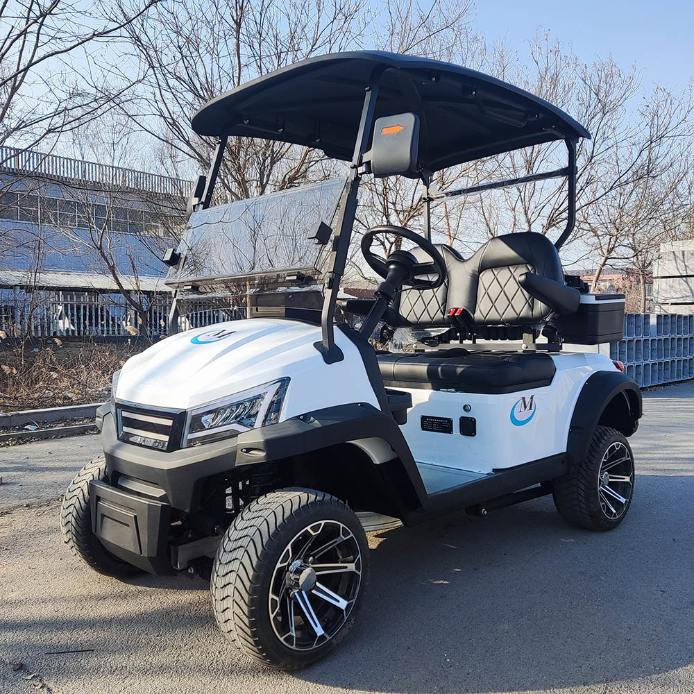 Free Shipping Golf Cart Lifted 4+2 Passenger Golf Cart With Seats Outdoor 4+2 Seat For Sale