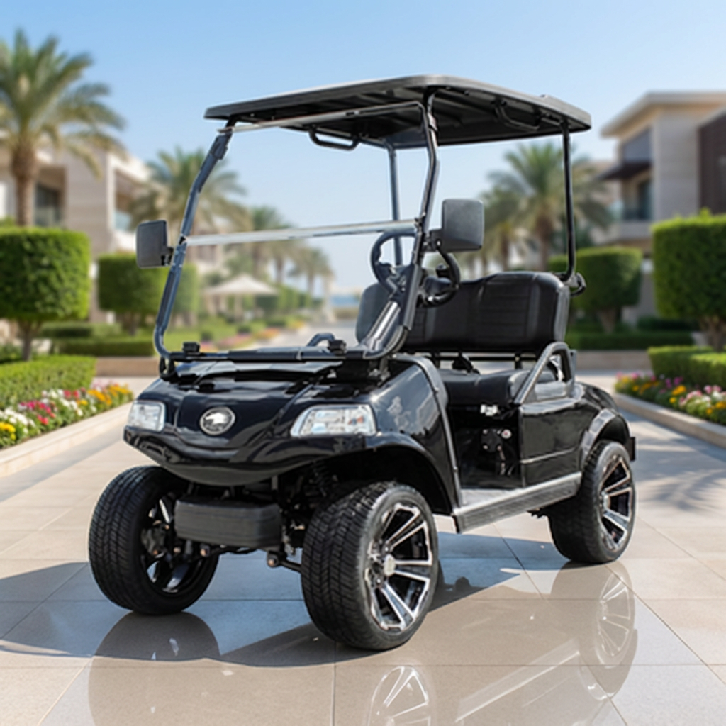 HDK Classic 2 Pro 48V CE Certified Electric Golf Cart 2 Seater for Golf Course and Resort