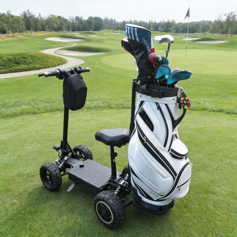 Foldable Portable Lightweight Mini Golf Cart 4-wheel Adult 4 Wheel Mobility Electric Scooter