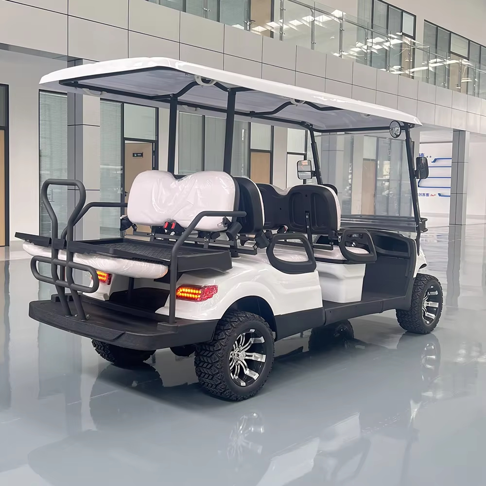 2025 Newest Model Smart Golf Cart with GPS Display Screen &amp; Remote Control