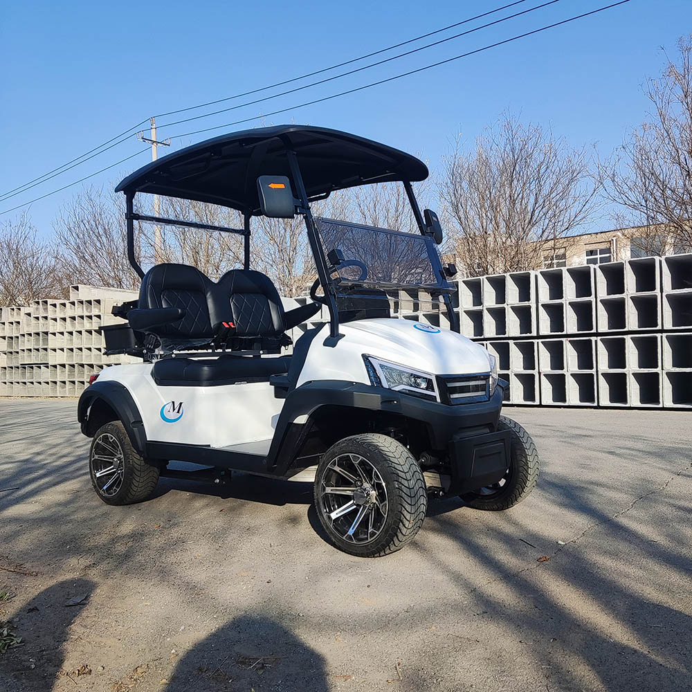 Free Shipping Golf Cart Lifted 4+2 Passenger Golf Cart With Seats Outdoor 4+2 Seat For Sale