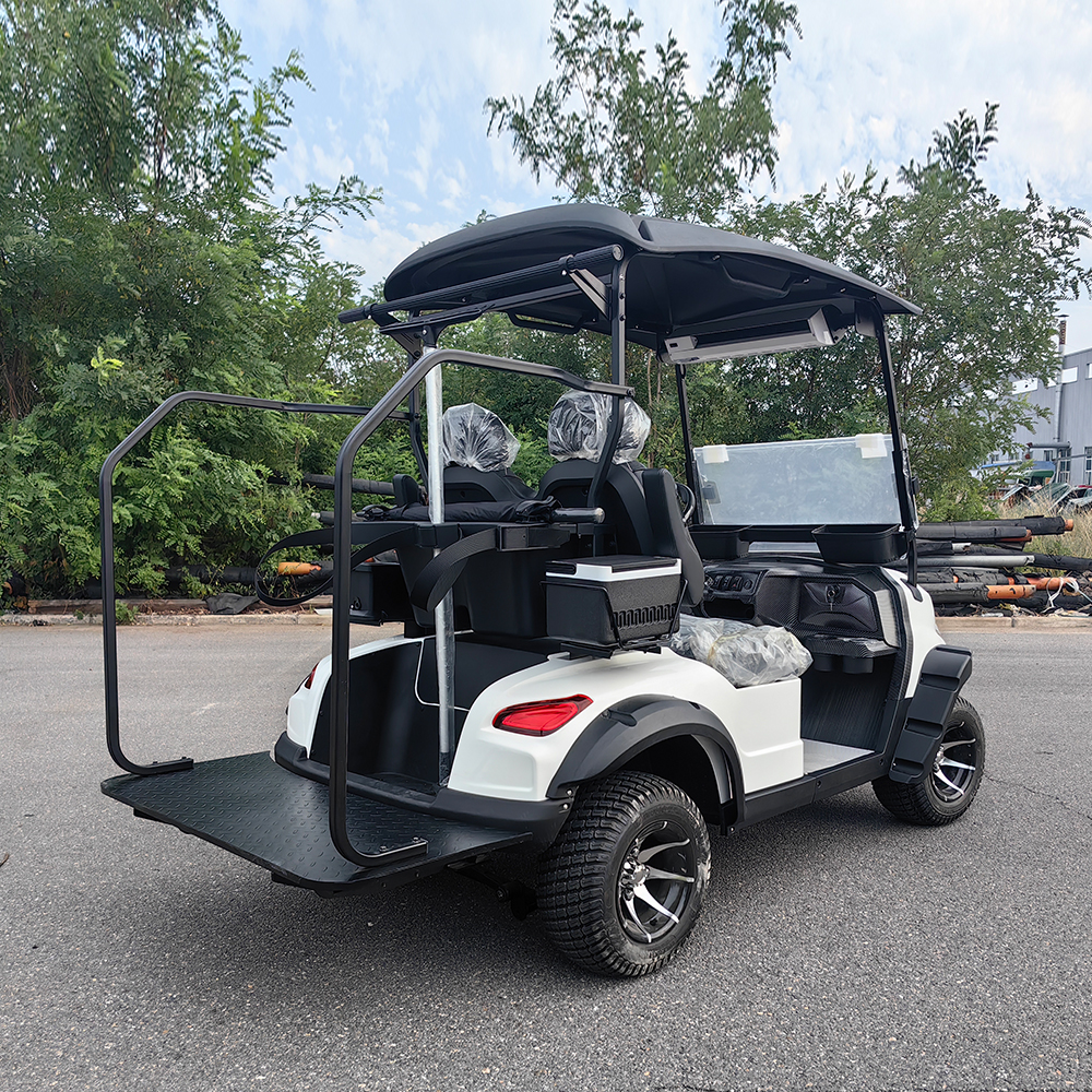 Professional Electric Single Person Golf Cart with 48V Lithium Battery 70-90km Range AC Motor 30km/h Max Speed Disc Brakes