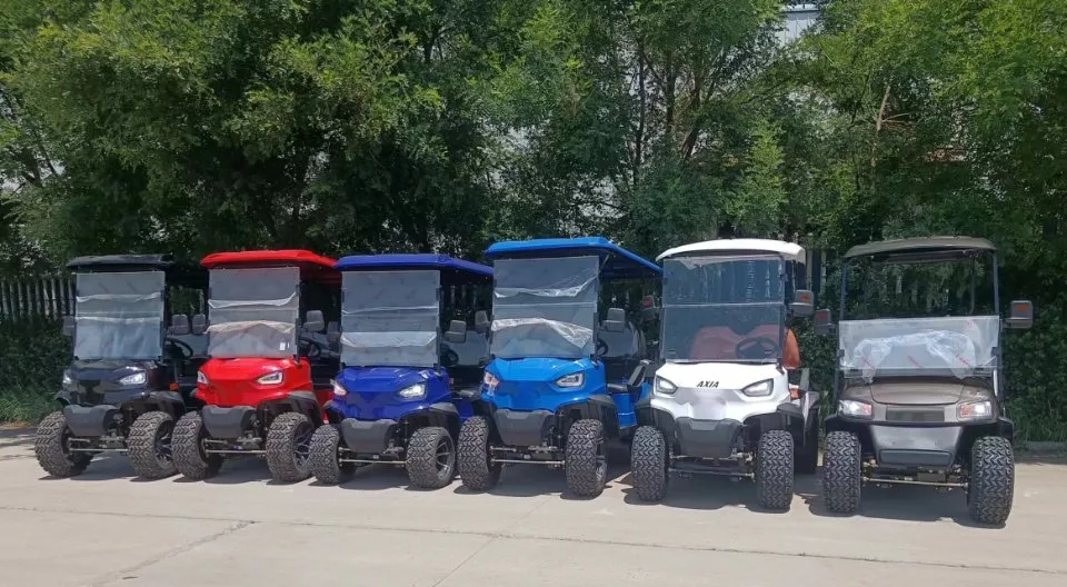 Luxury Electric Golf Cart