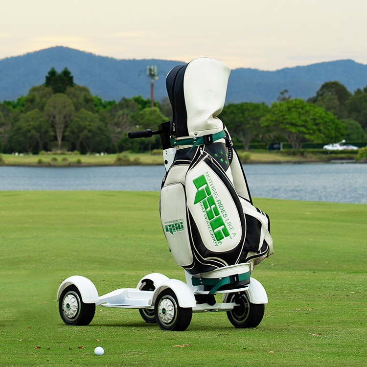 ESWING Golf Trolley Foldable Electric Golf Scooter 4 Wheels Mini Chinese Cheap Electric Golf Carts
