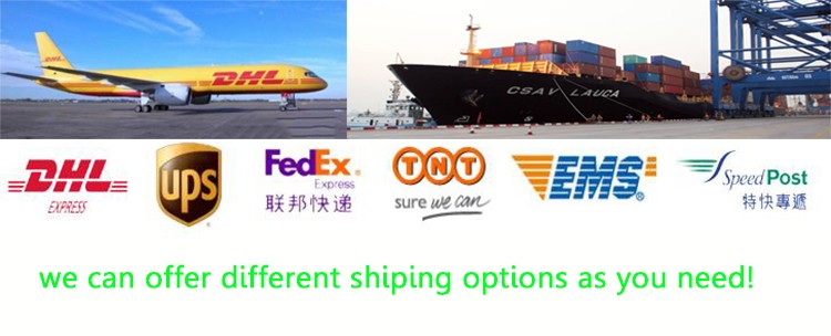 Shipping Logistics