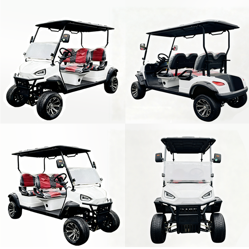 Daod Luxury 4 Seater Golf Cart with Premium Leather Seats and LED Display