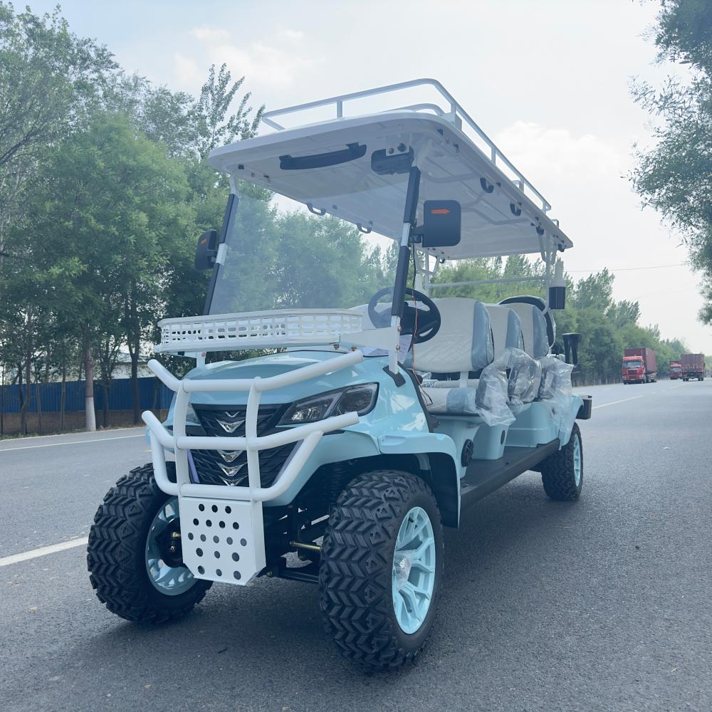 Street Legal 6 Seater Gasoline Golf Cart CE Approved Adult ATV/UTV 4x4 with Lithium Battery Black