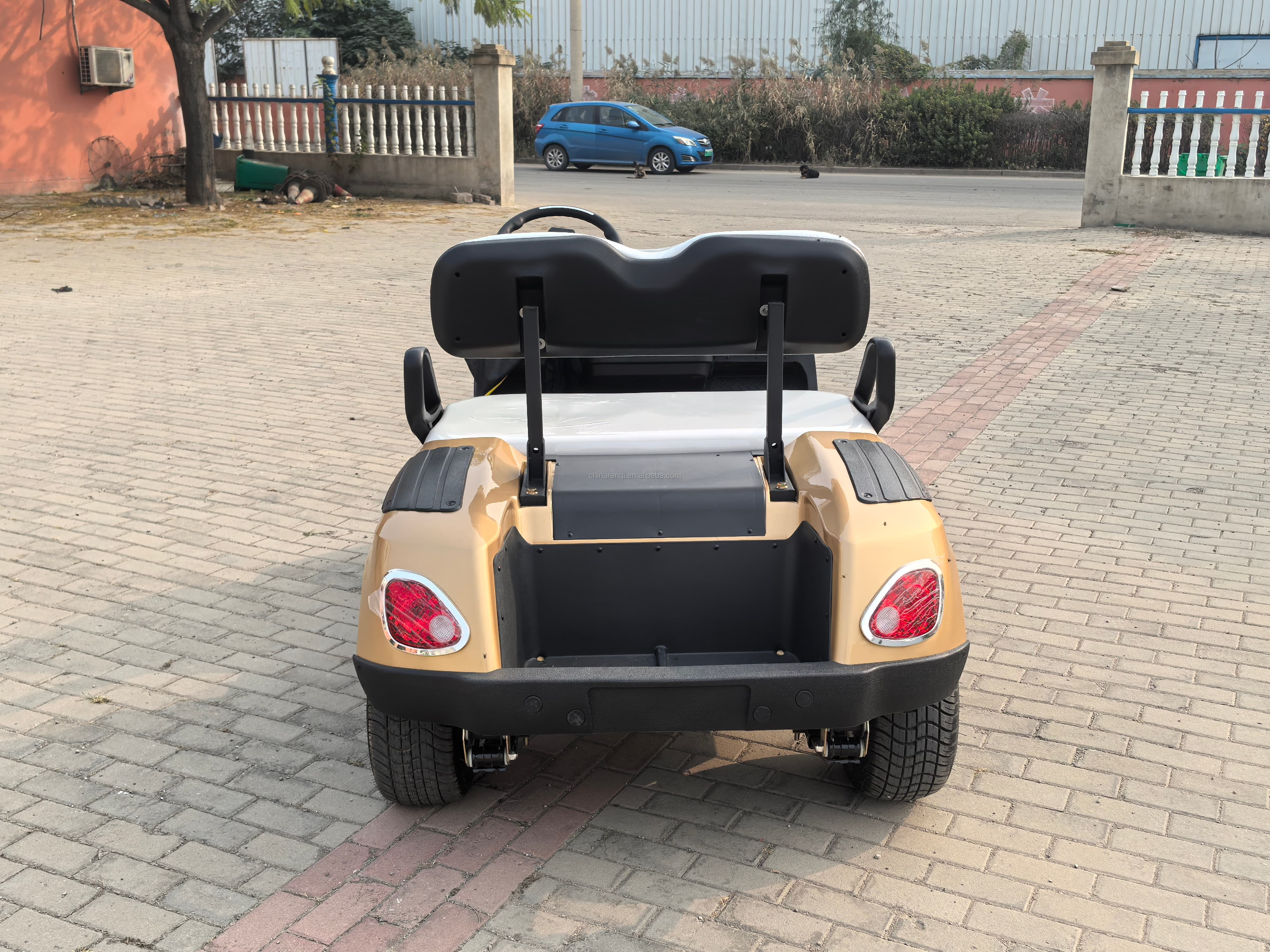 RENQI Premium 2-Seater Electric Golf Cart Mini Design with Suspension for Personal Use CE Certified
