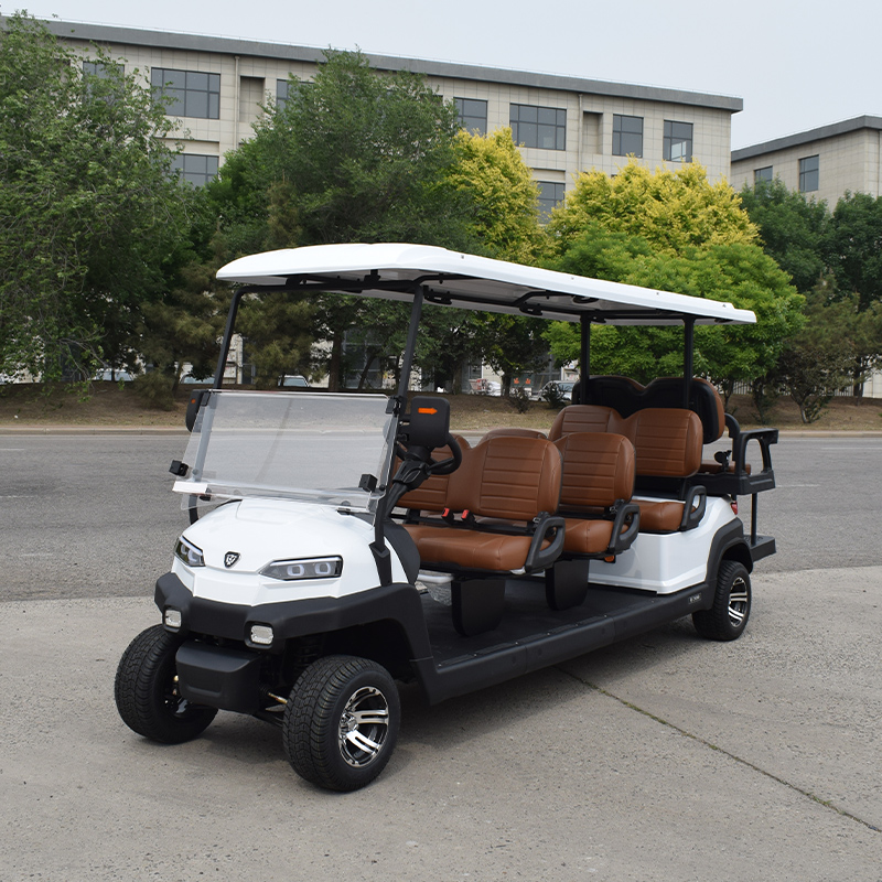 Hot Sale Farm Utility Lead-acid Golf Cart 8 Seater 5kW Lithium Battery Buggy Golf Car