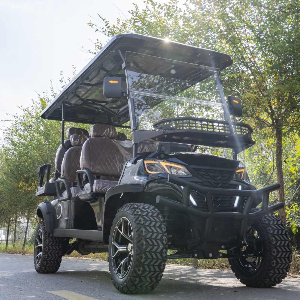 Golf Cart Detail 3