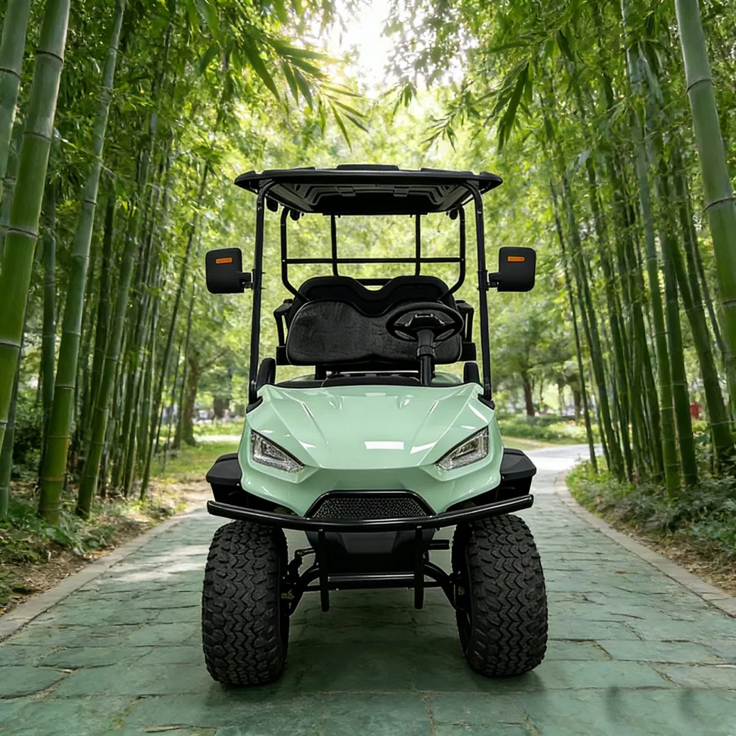 Golf Cart Detail 3