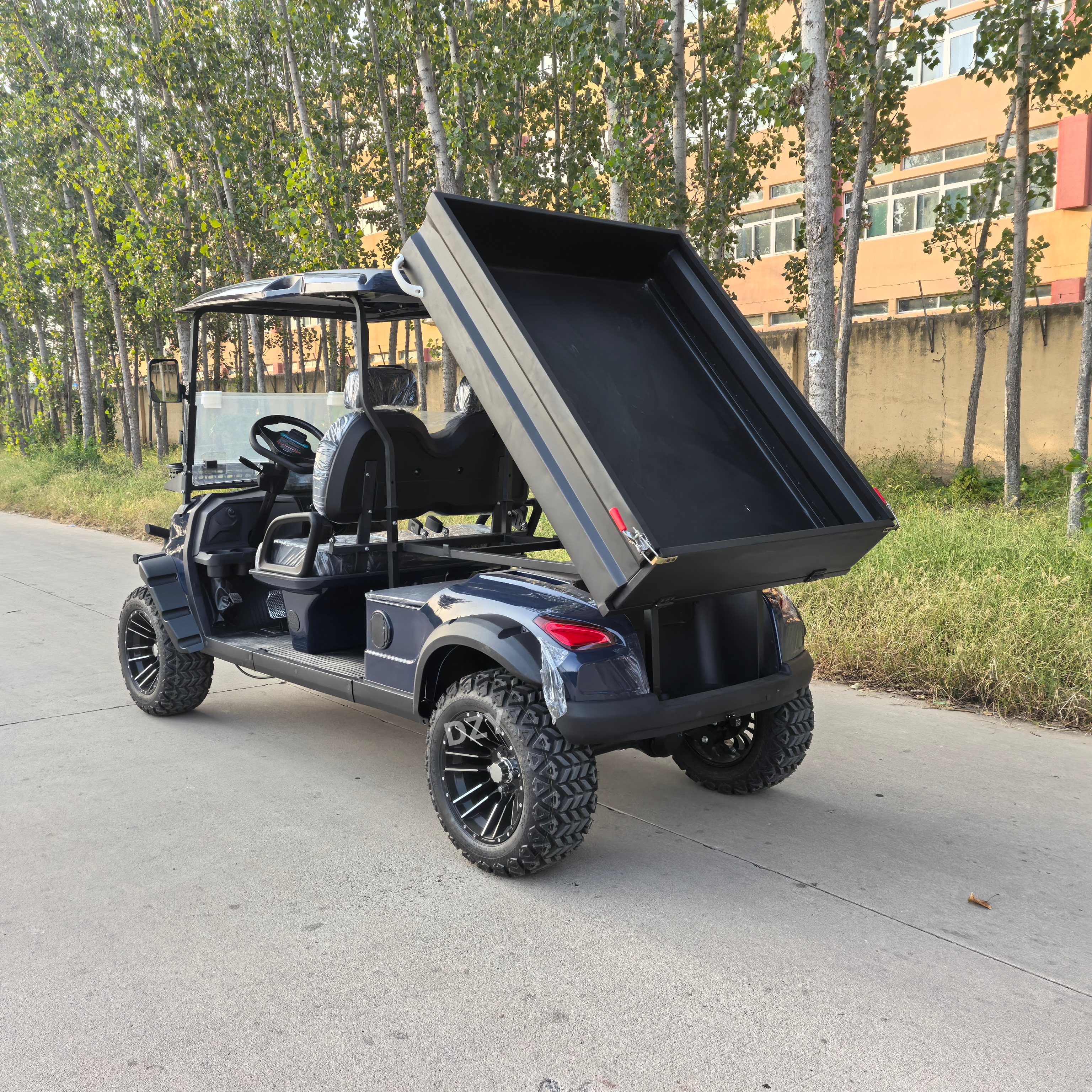 72V/48V Electric Lithium Battery Golf Cart Independent Suspension 2 Seats 30-50Km/h Speed 90km Range Imbor 3528 Controller 510kg