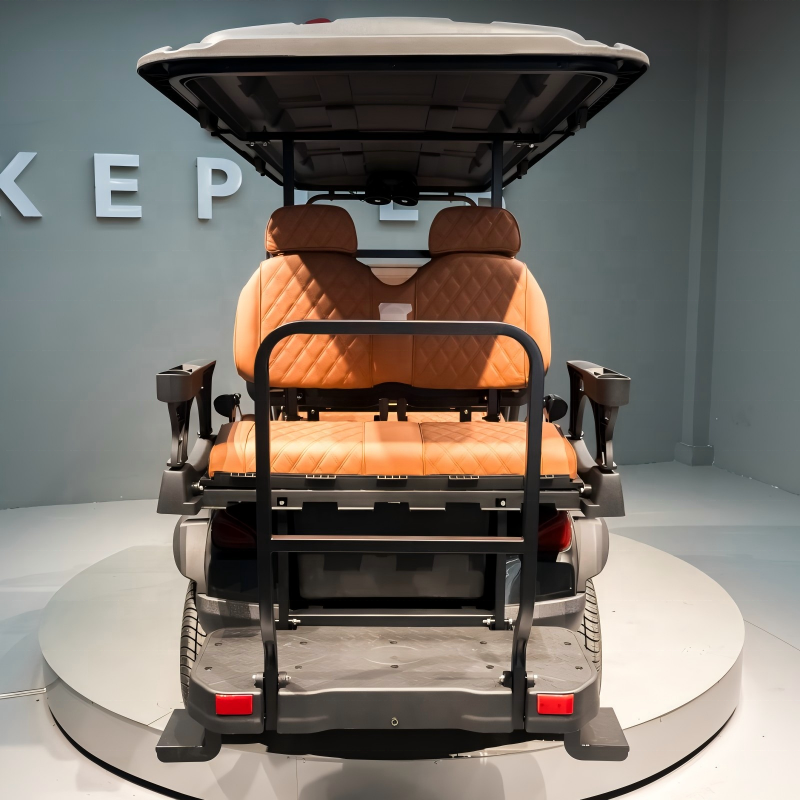 Professional Golf Cart &amp; Sightseeing Buggy Customizable Lithium Battery &amp; Motor Power Full Personal Customization Service