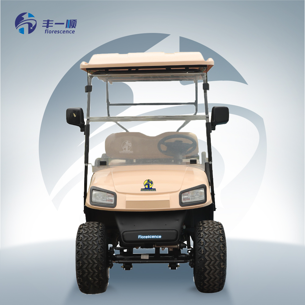 Luxury 6 Seater off Road Electric Golf Cart Sightseeing Club Car 72V Lithium Battery CE Certified 30km/h 70-90km Range