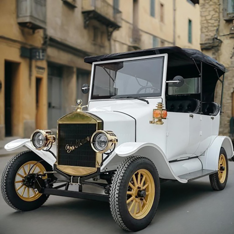 Europe Street Legal Electric Golf Cart Rental Club Car