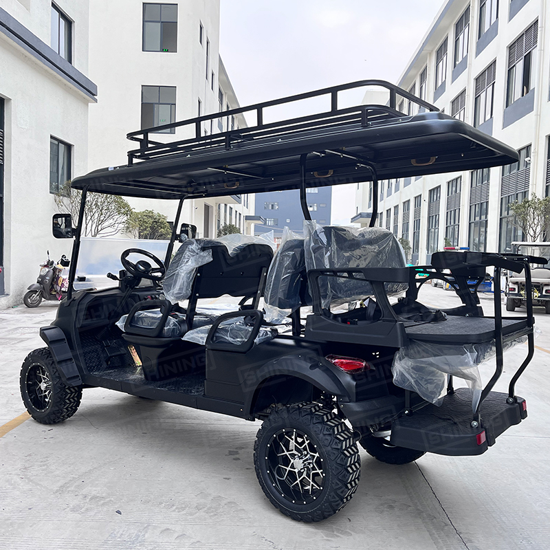 Shininglsv New 6 Golf Carts Gas Powered Gasoline Import Golf Carts From China