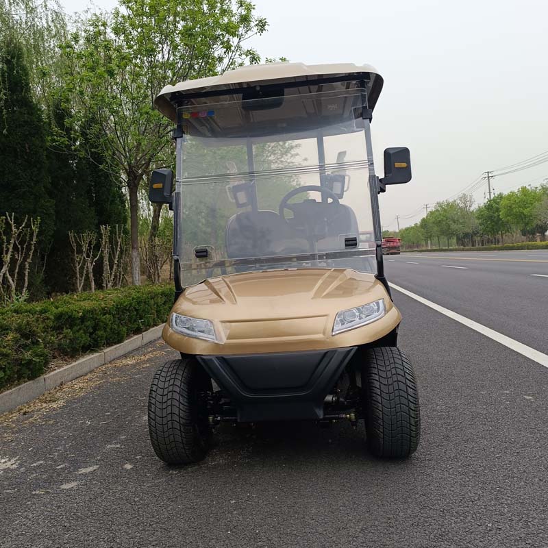 QIFAN Mini Luxury 4 Seats 6 Seats 8 Seats Electric Classic Golf Cart for Wedding Resort Hotel