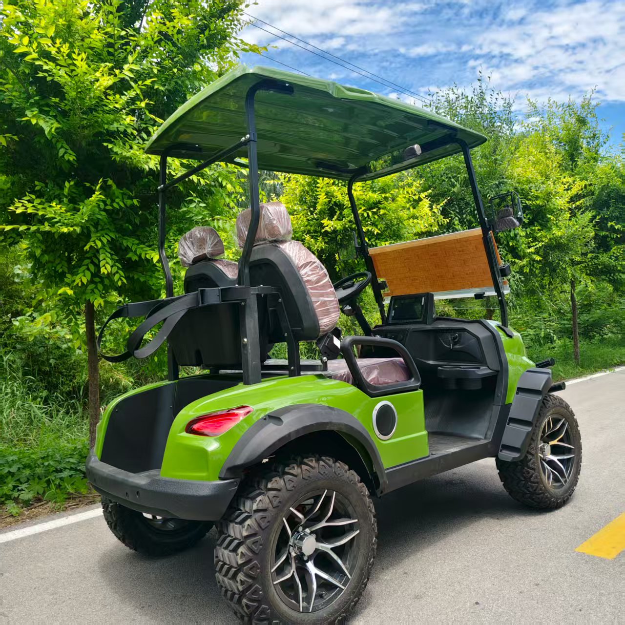 Wholesale Price EPA Certified Gas or Electric Powered Golf Carts/off Road Golf Car with Gasoline Engine with 4 or 6 Seaters