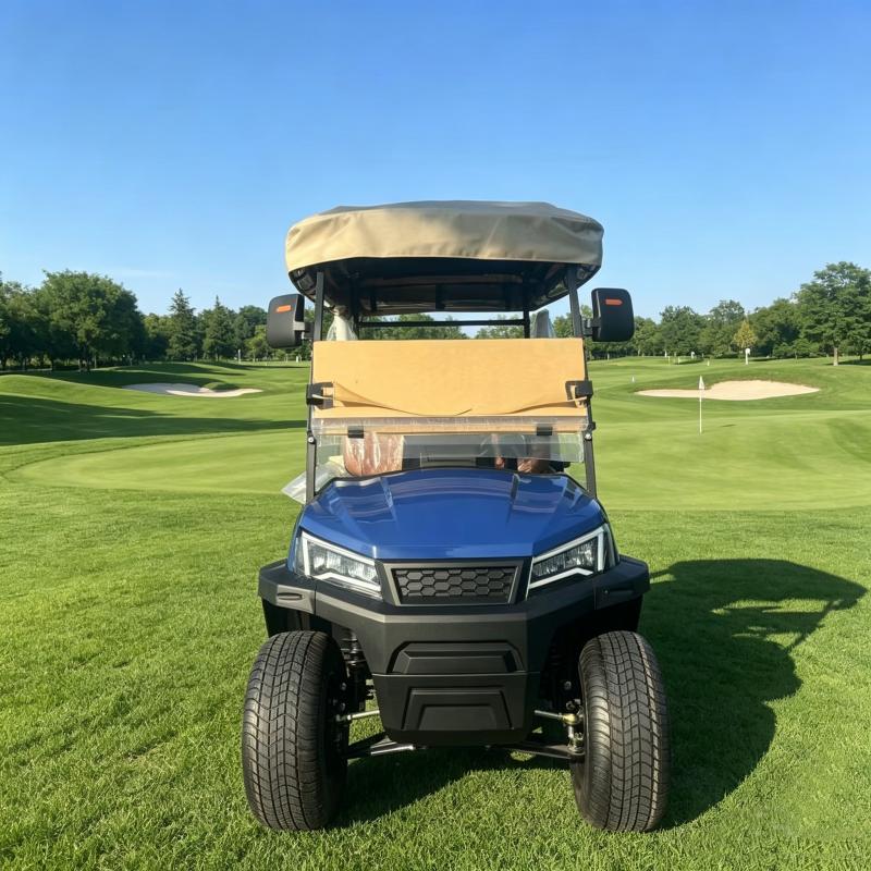 Luxury 2 Seat Electric Golf Cart 72V Lithium Battery AC Motor 2 Passenger Resort Vehicle Elegant Sightseeing Street Legal Car