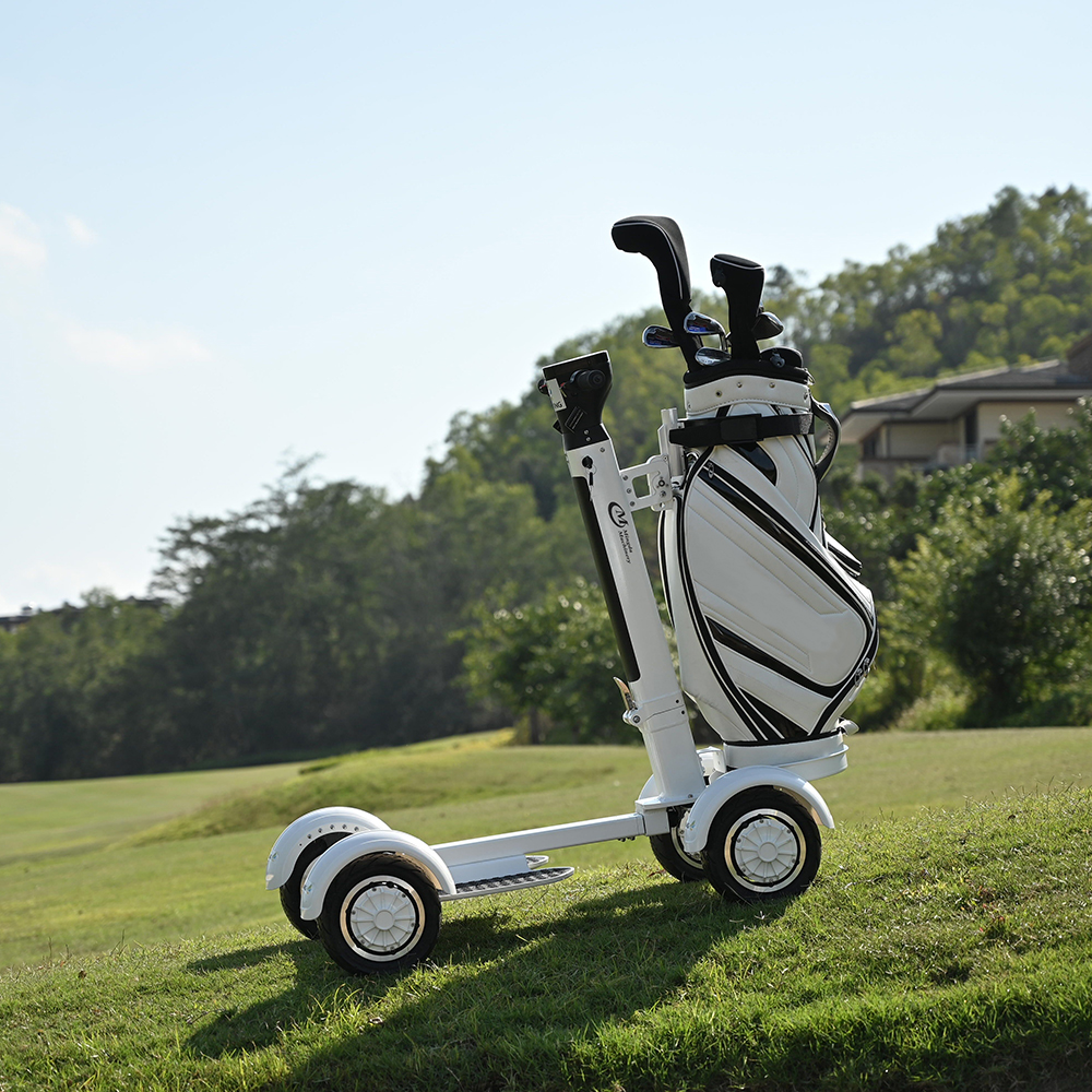60v Golf Board &amp; 4 Wheels Electric Scooter 2000w Adult Hotel Personal Mobility Cart 48v Battery Voltage