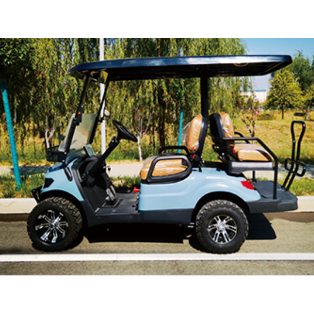 Top Quality 2+2 Passenger Electric Golf Cart Versatile for Resort Neighborhood Transportation CE Certified