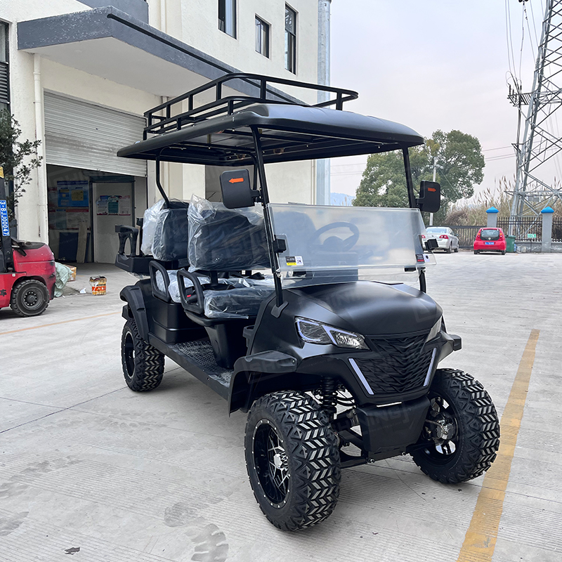 Shininglsv New 6 Golf Carts Gas Powered Gasoline Import Golf Carts From China