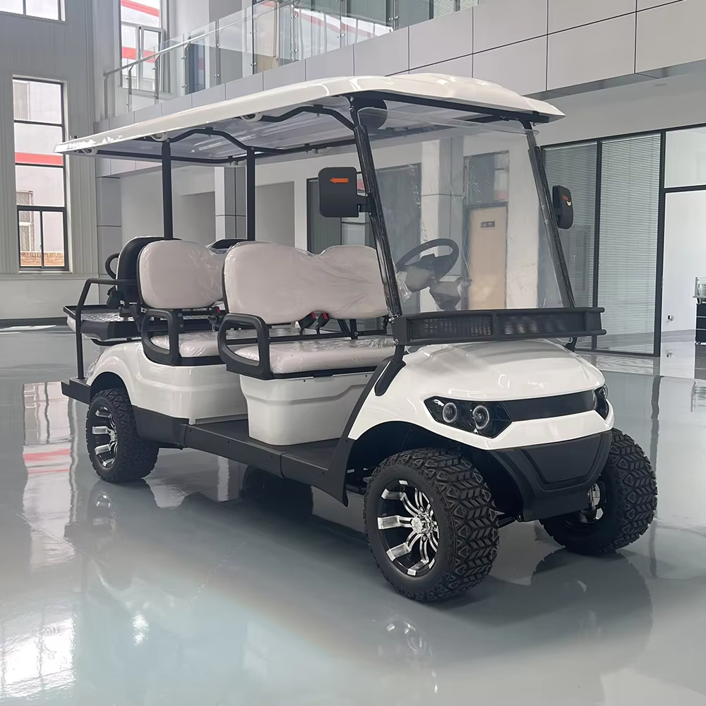 2025 Newest Model Smart Golf Cart with GPS Display Screen &amp; Remote Control