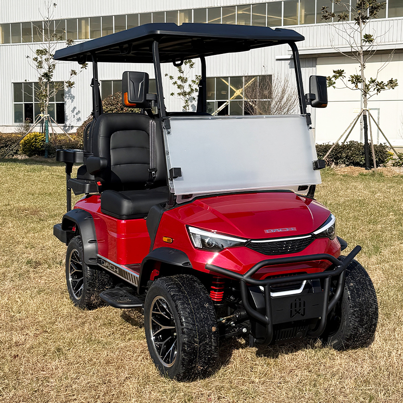 Customized New Arrival Golf Buggy F11 Lifted Golf Cart Golf Carts DC-G-F2+2 Great Price