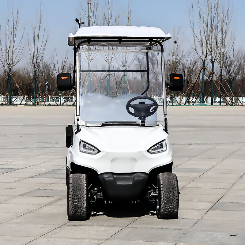 Electric Golf Cart Customized Off-road Lithium Battery Buggy Custom Golf Cart for Sale