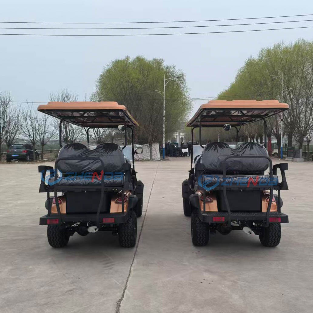 Hot-selling 4 Stroke Gasoline 6 Seater Off-Road Golf Cart with 30-50Km/h Speed &amp; 90km+ Range Newly Designed