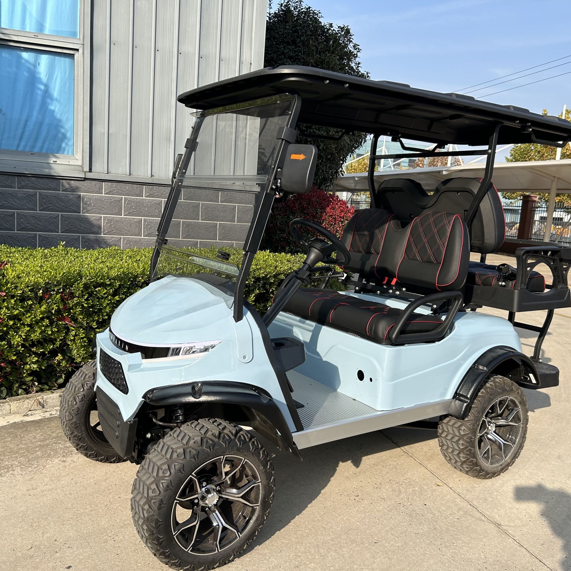 Electric Golf Cart Rear