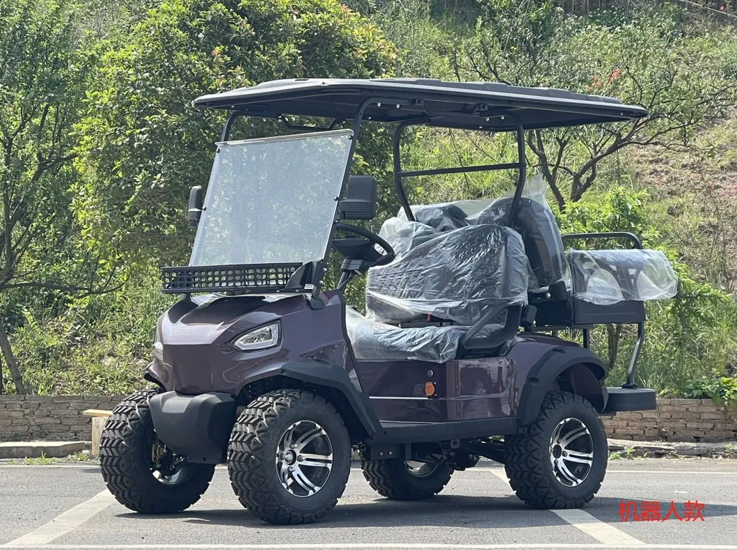 Electric Golf Cart View 1