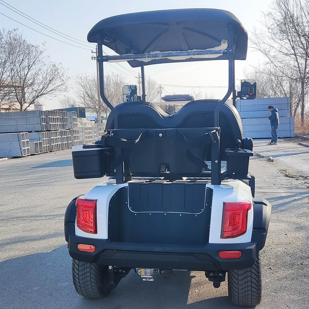 Free Shipping Golf Cart Lifted 4+2 Passenger Golf Cart With Seats Outdoor 4+2 Seat For Sale