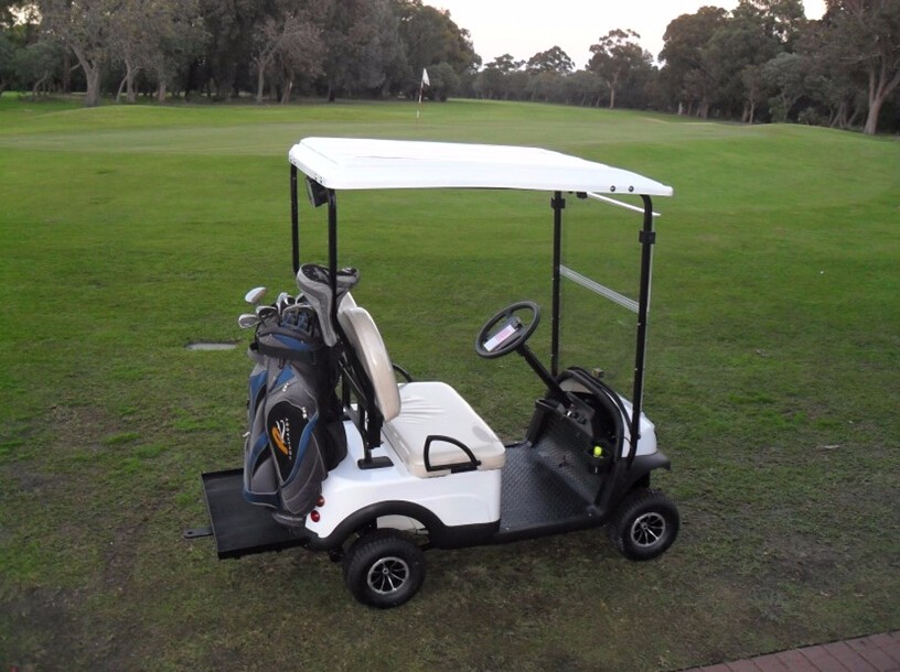 48V 2000W Personal Single Seat Open Space Durable Electric Golf Cart Buggy SS-Model