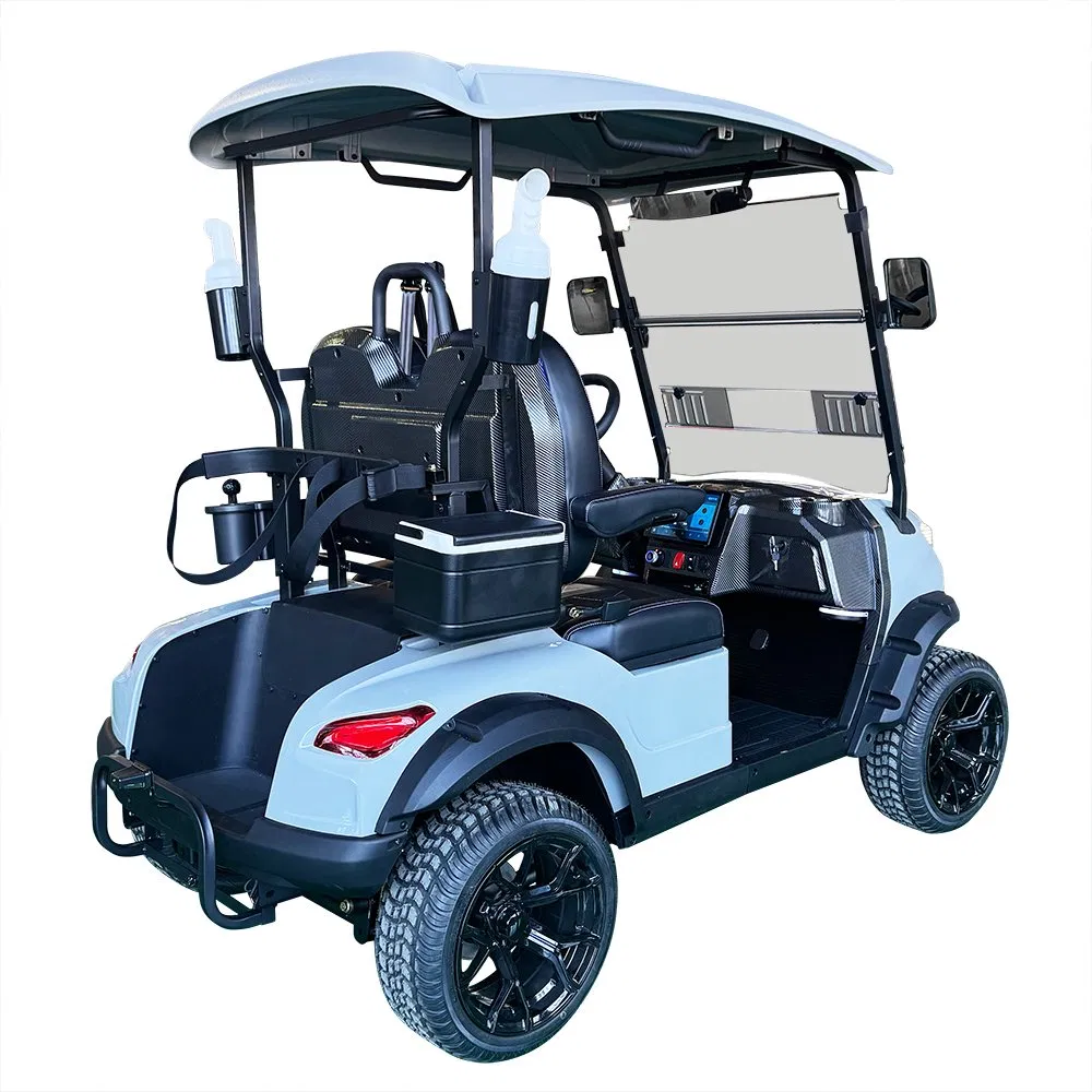 Electric Lithium Battery Two-Seater Golf Cart for Golf Courses