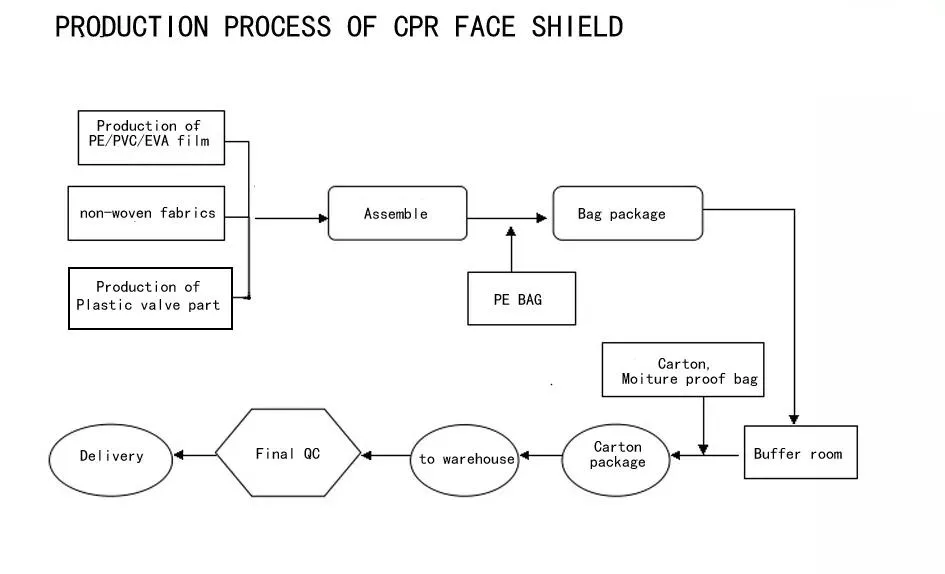 Disposable Mouth to Mouth Face Shield