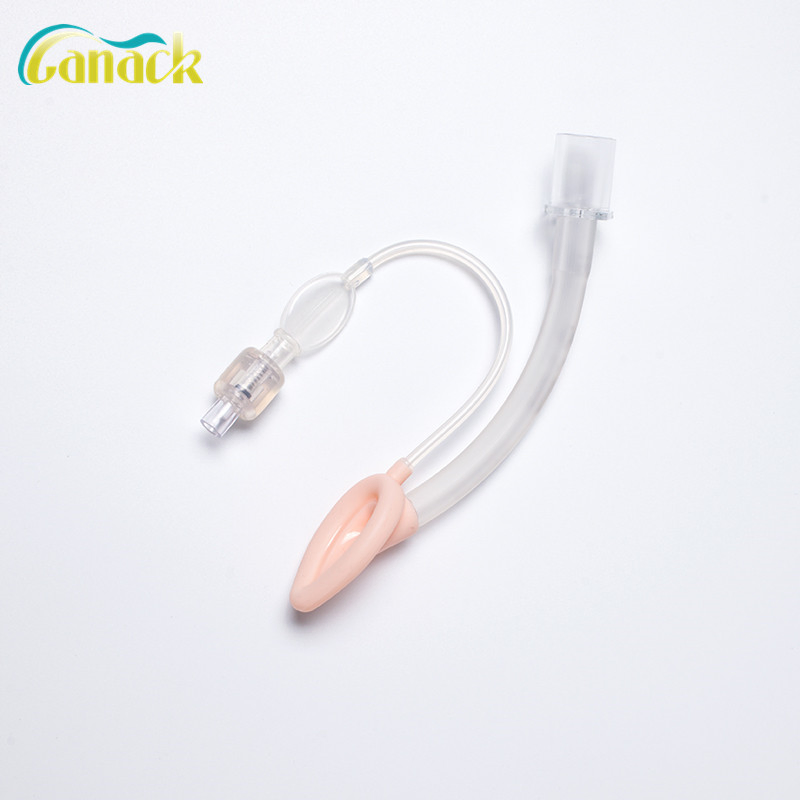 Laryngeal Mask Device
