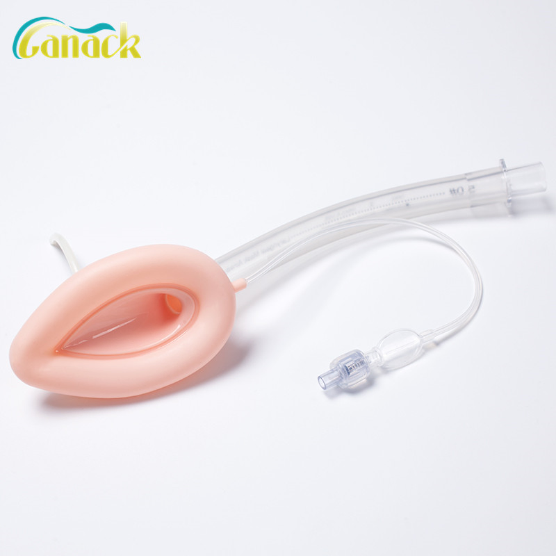 Laryngeal Mask Device