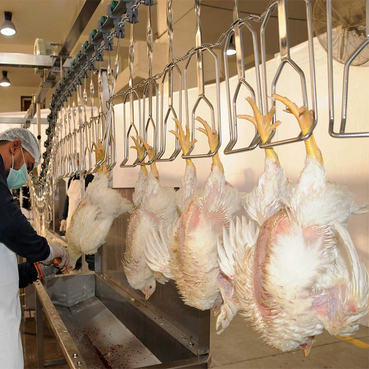 Mingshun's Premium Chicken Processing Tools for Efficient Poultry Handling