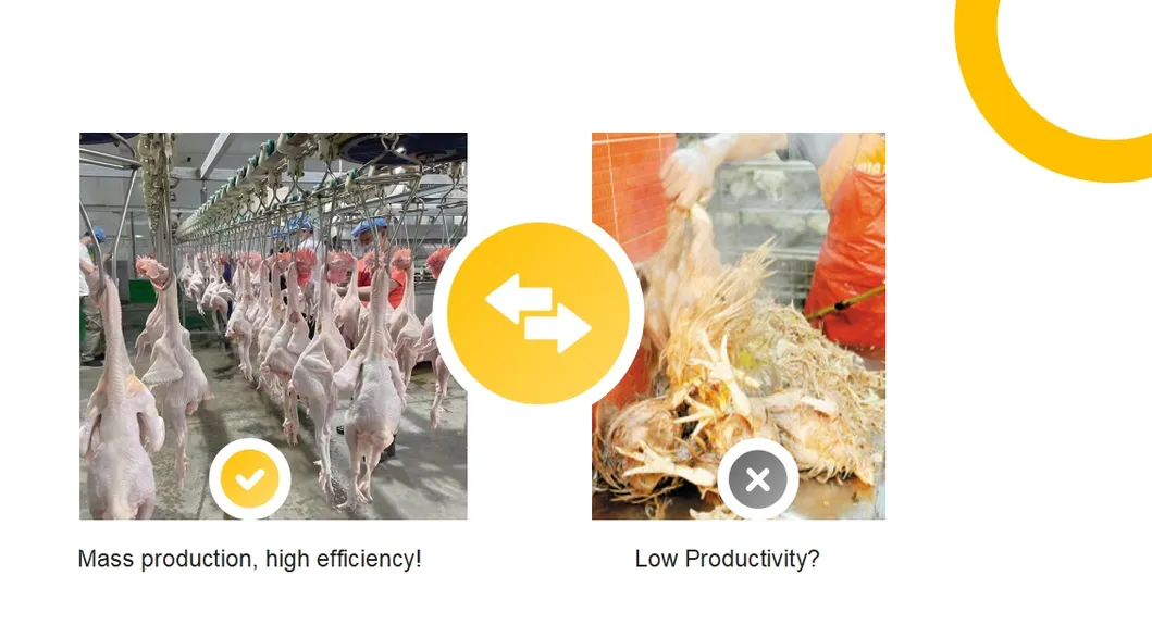 Poultry Processing Tools 3