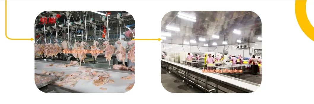 Poultry Processing Tools 9