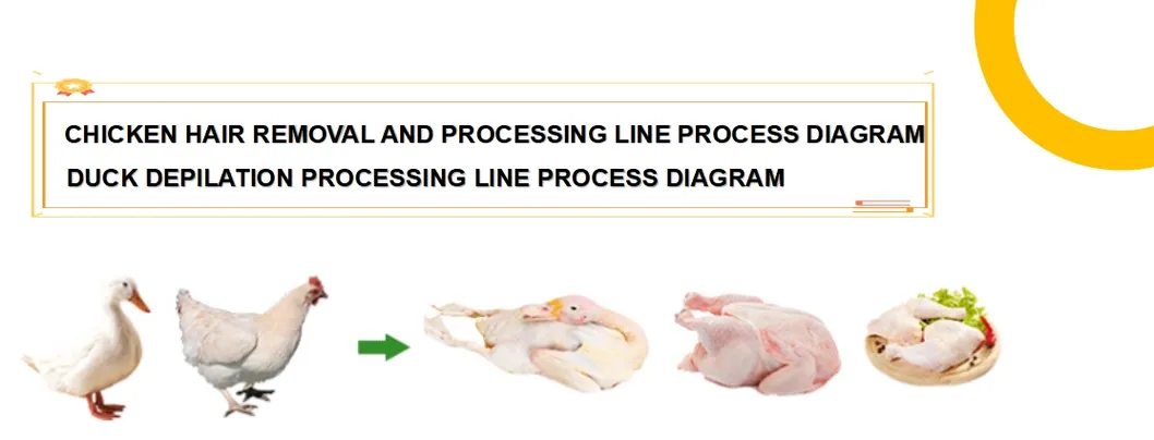 Poultry Processing Tools 1