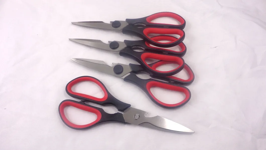 Kitchen Shears 1