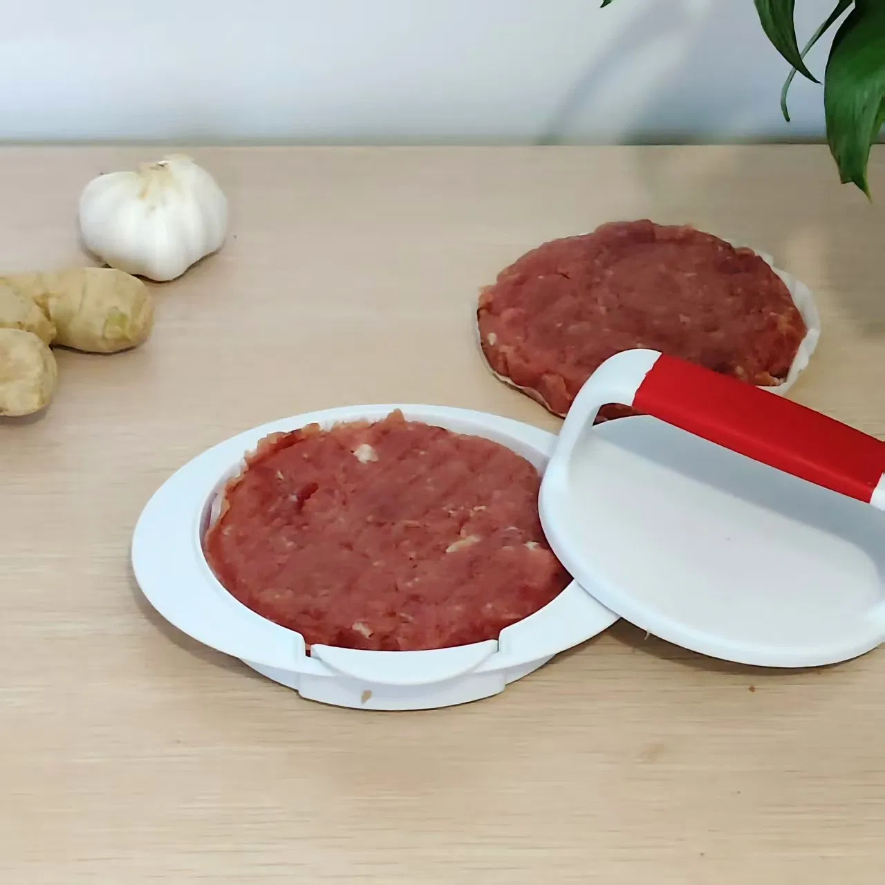 Tool Maker Meat Processing Plastic Kitchen Ware Products Burger Press (15173)