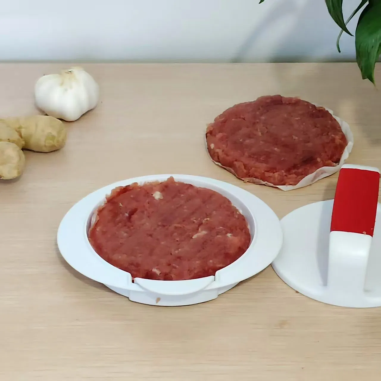 Tool Maker Meat Processing Plastic Kitchen Ware Products Burger Press (15173)