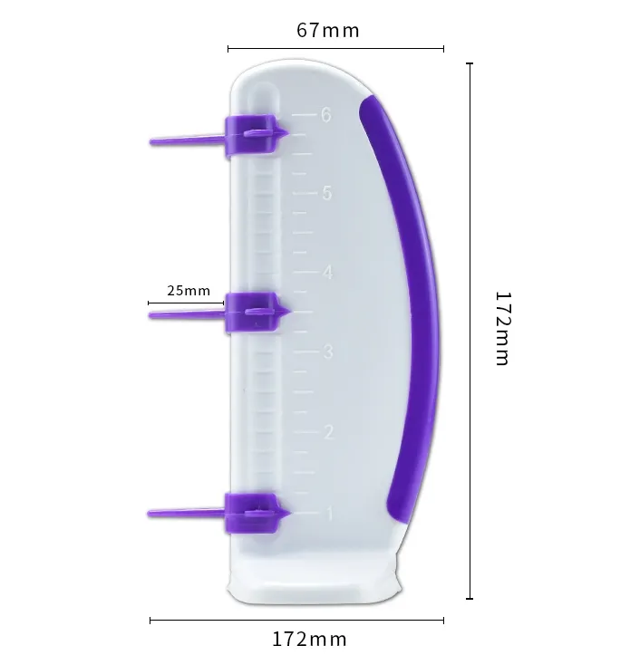 Cake Ruler Detail 2